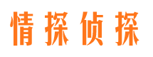 河北市婚外情调查